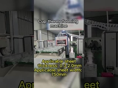 Machine de thermoformage sous vide à commande PLC pour matériaux dégradables