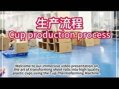 Machine de thermoformage en plastique PLC avec une surface de formage de 750*500 mm