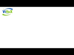 Machine d'extrusion de plastique à grande vitesse avec matrice d'extrusion personnalisée