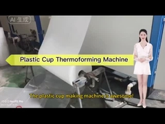 Machine de thermoformage de tasse de thé en plastique entièrement automatique