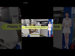 machines entièrement automatisées pour la fabrication de boîtes à lunch en plastique