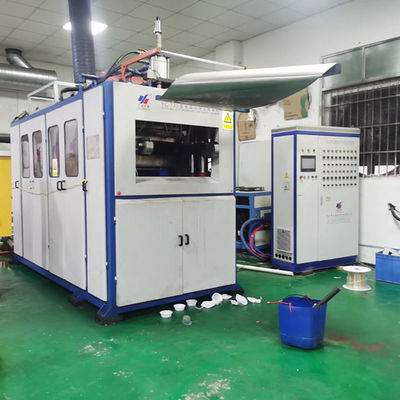 Coupe en plastique jetable utilisée fabriquée à partir d'une machine de thermoformage en plastique de qualité alimentaire de haute qualité