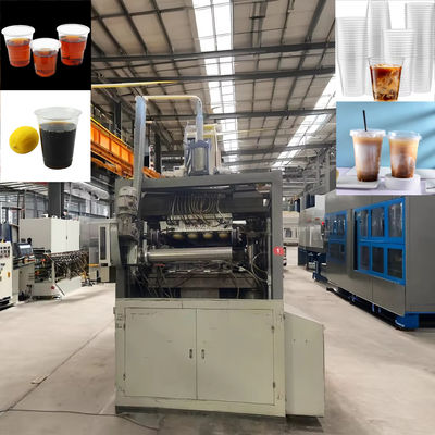 Machine de fabrication de tasses thermoformant jetable à grande vitesse Machine de fabrication de tasses en plastique