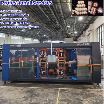 Machine de fabrication de plateaux d'œufs en plastique industriel d'occasion Machine de thermoformage en plastique d'automatisation de haut niveau