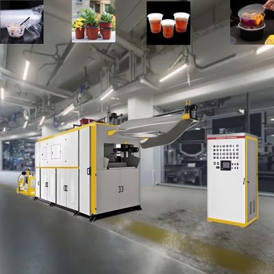 Machine de thermoformage de tasses en plastique à grande vitesse machine à faire du verre en plastique jetable