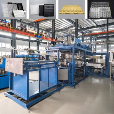 Fully automatic Seedling Tray Plastic Thermoforming Machine