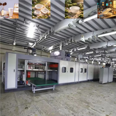 Machine de fabrication de boîtes à repas jetables en mousse PS entièrement automatique
