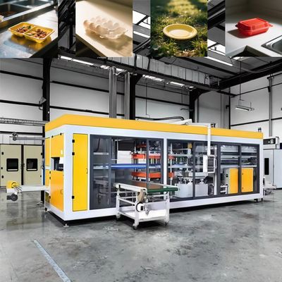 Machine de thermoformage entièrement automatique de boîtes à emporter en plastique